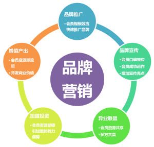 品牌联合营销中的合作伙伴择选指南